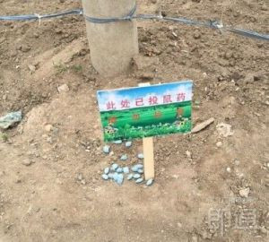 投放后會(huì)做好標(biāo)示