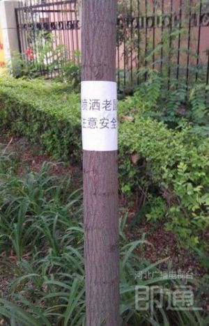 請(qǐng)留意投放標(biāo)志，遛狗的市民也要注意。