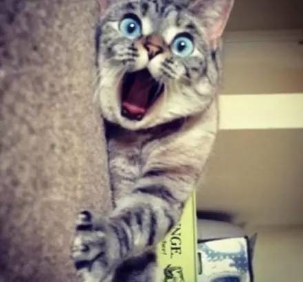 為行竊雇人開(kāi)鎖，大膽賊竟是女兒閨蜜！偷完錢(qián)還留字條嘲笑…