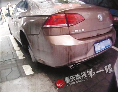 愛車愛成了這樣 買低配版大眾凌渡 偷頂配版輪胎升級