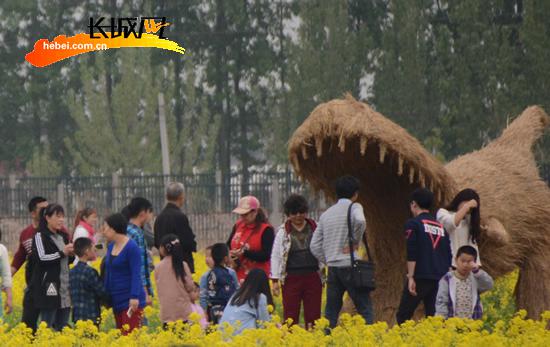 個(gè)性的稻草人歡樂(lè)區(qū)引游客觀賞。扈煒 攝