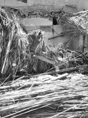 楊女士家已經(jīng)坍塌成廢墟的房子。