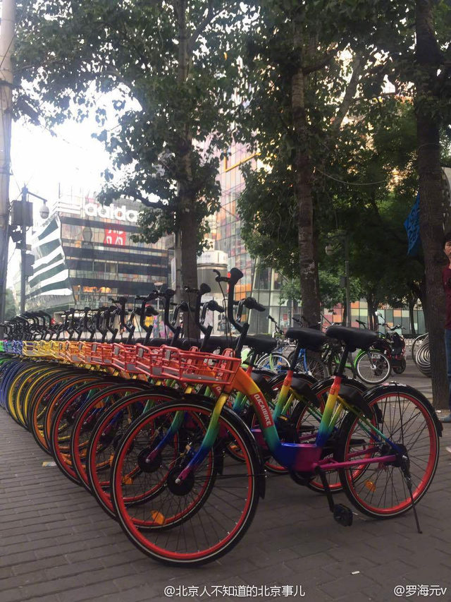 如今推出的七彩單車把七種顏色全占了。