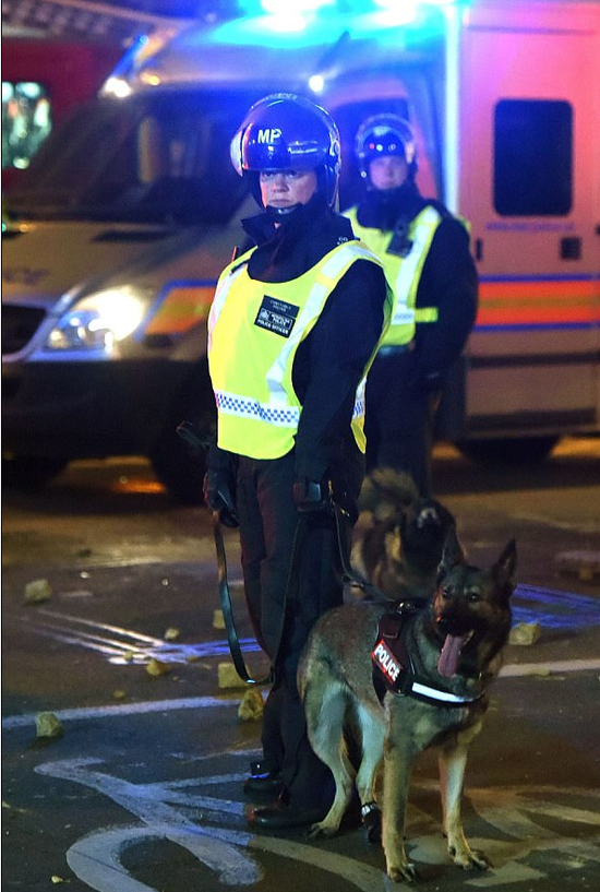 警方帶警犬到現(xiàn)場